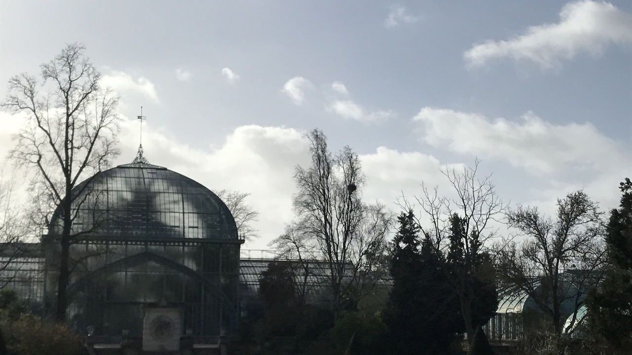 Photo of Others in Prince–Marmottan