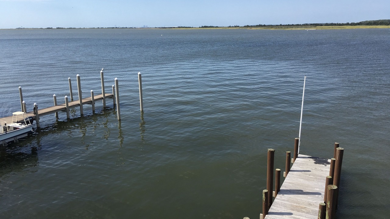 Photo of Others in Tuckerton Beach