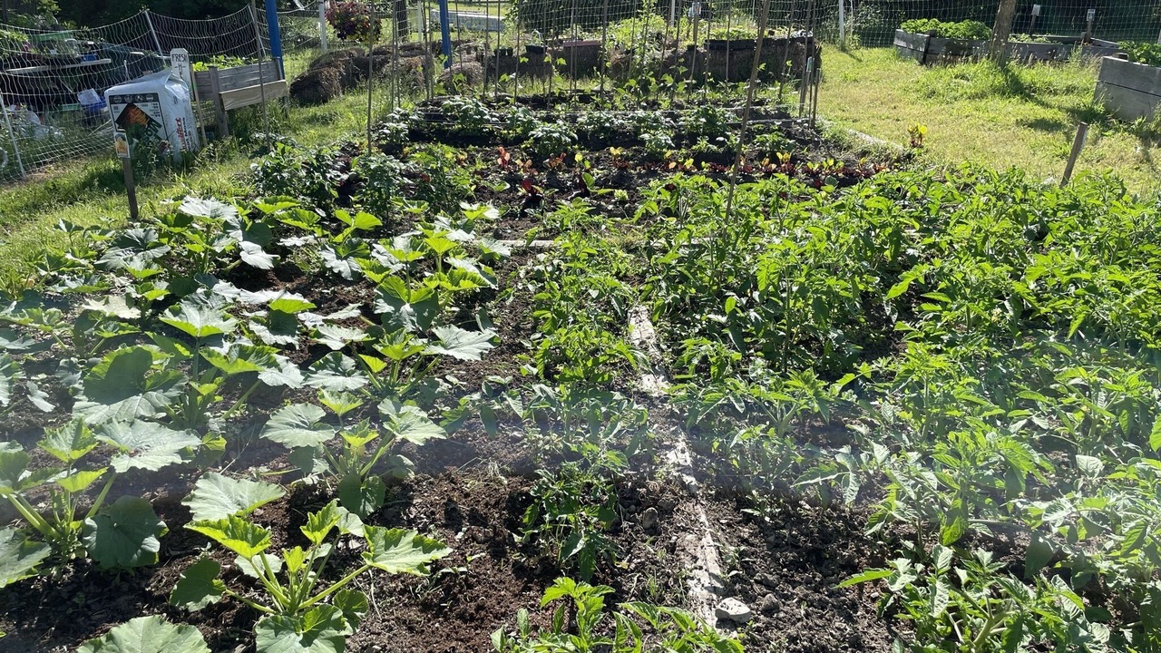 Photo of Outdoor in Corning