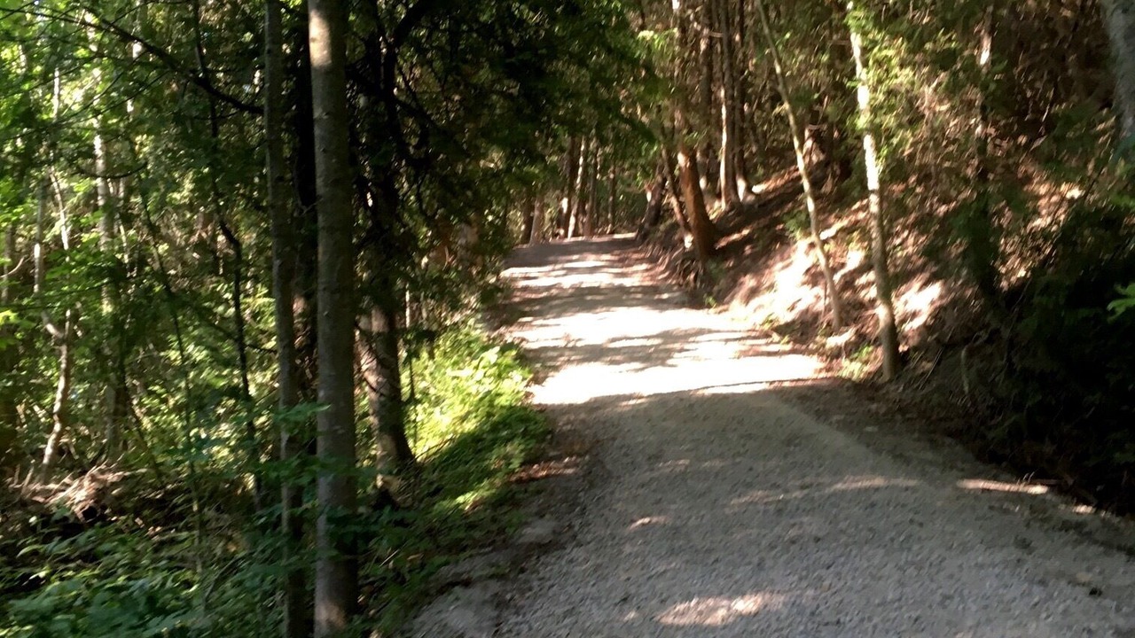 Photo of Others in Central Huron
