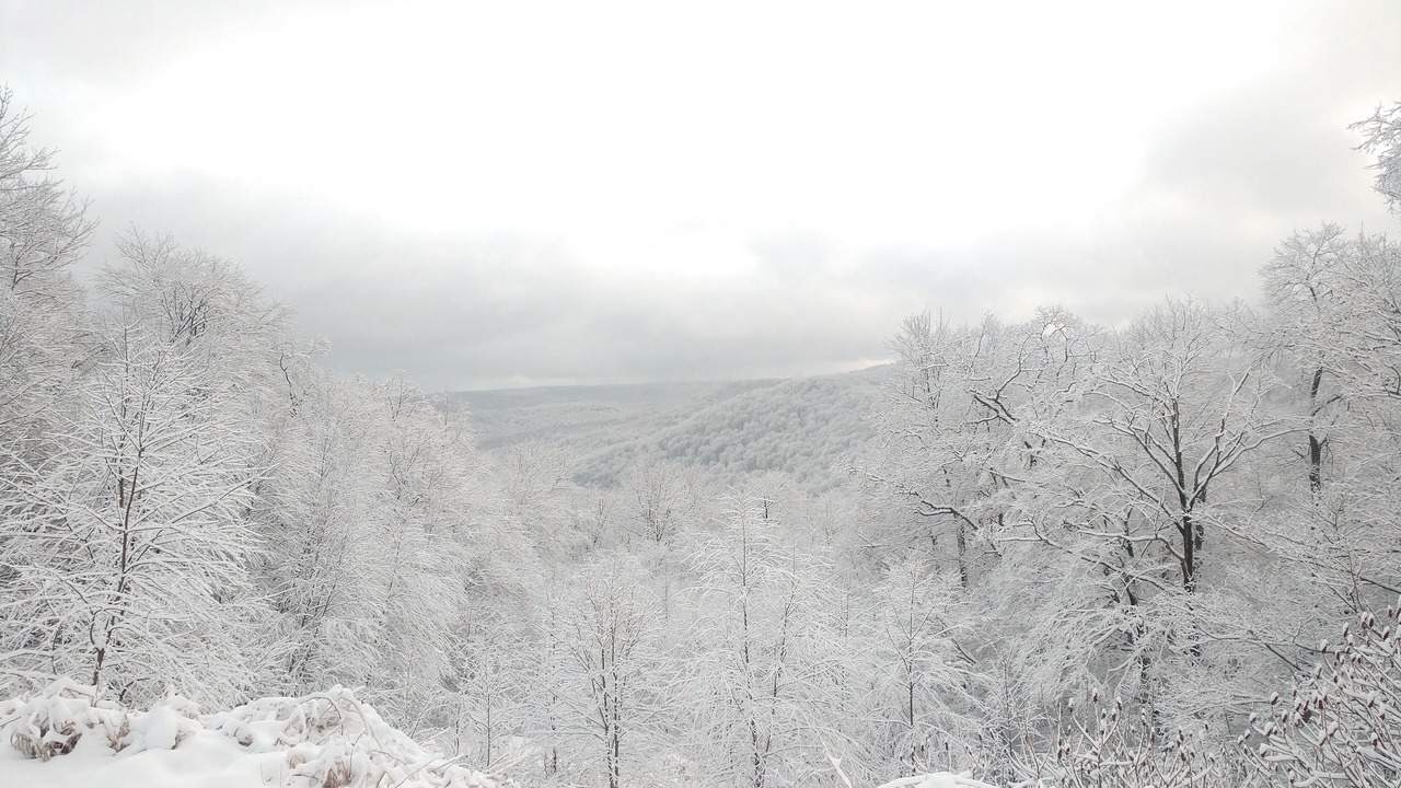 Photo of Others in Coudersport