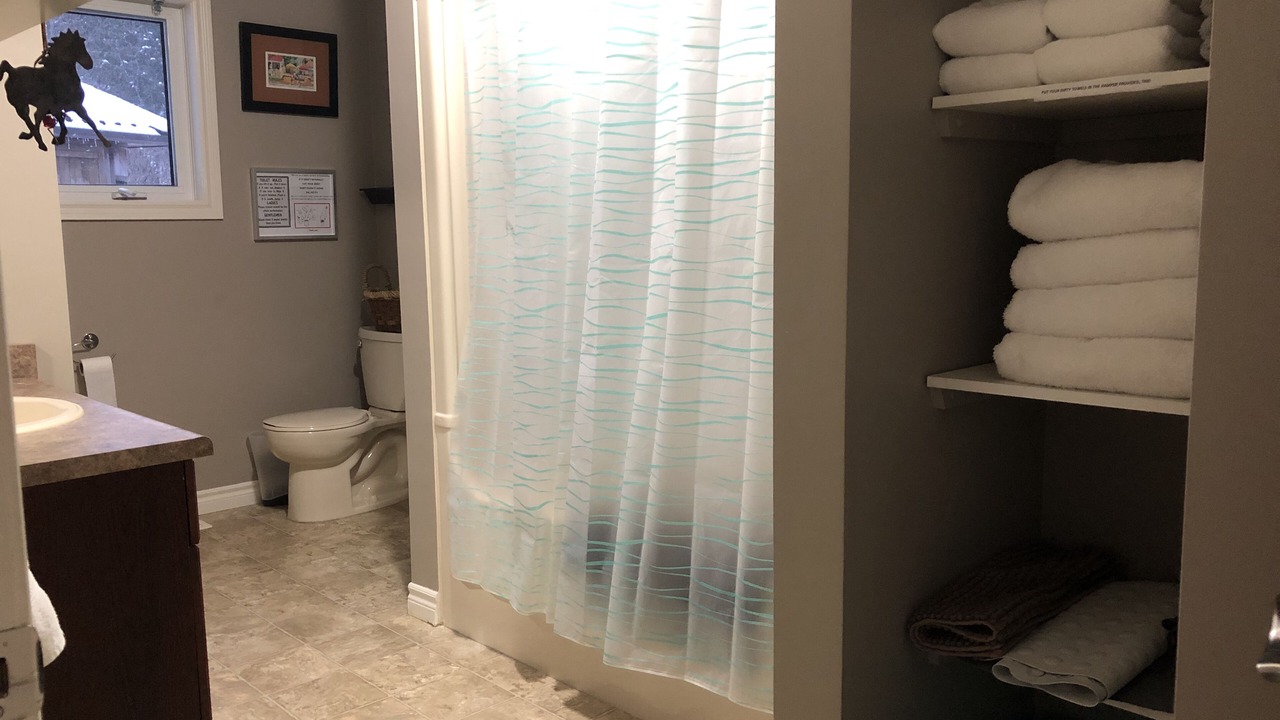 Photo of Bathroom in West Grey