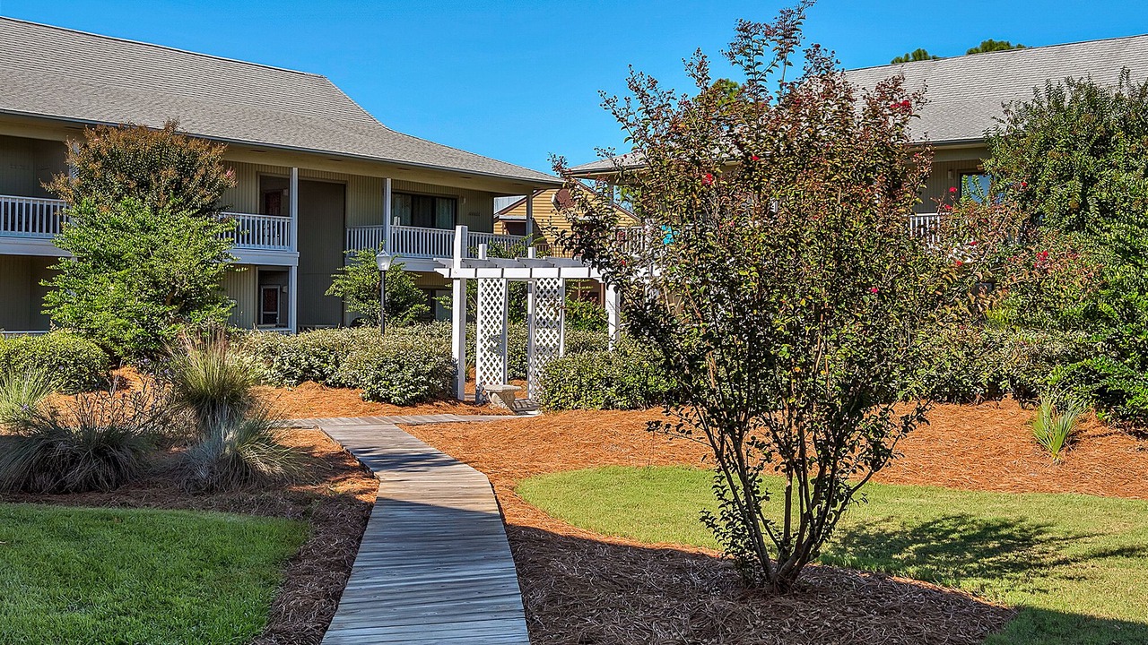 Photo of Others in Seagrove Beach