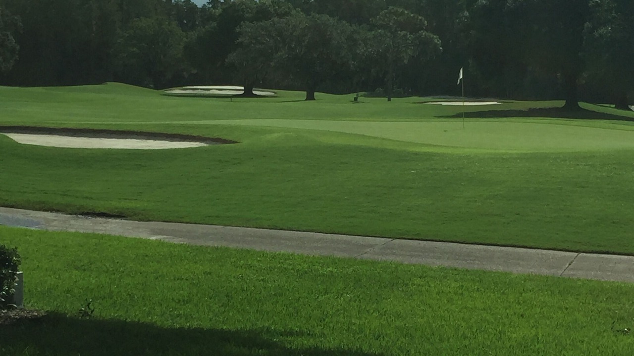 Photo of Others in Wesley Chapel