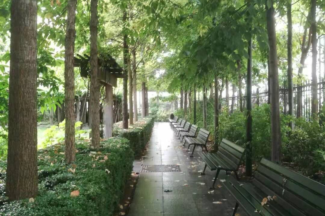 Photo of Outdoor in Levallois-Perret