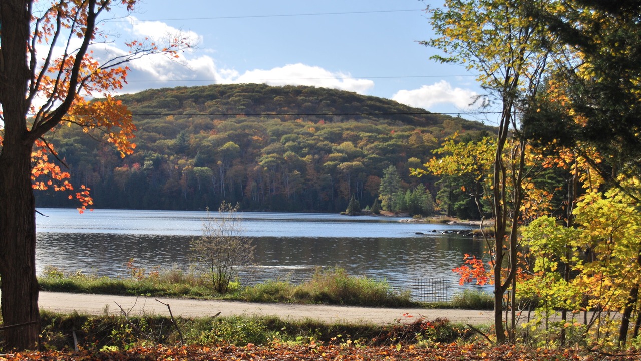 Photo of Others in Bancroft