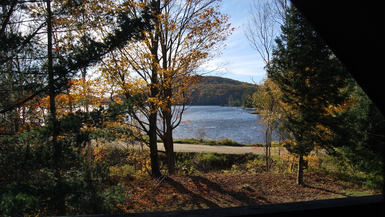 Photo of Others in Bancroft