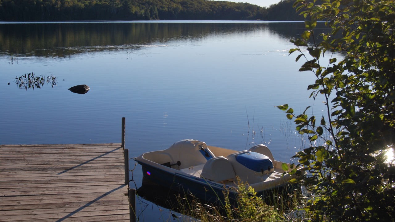 Photo of Others in Bancroft