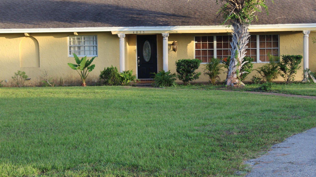Photo of Outdoor in Tropic