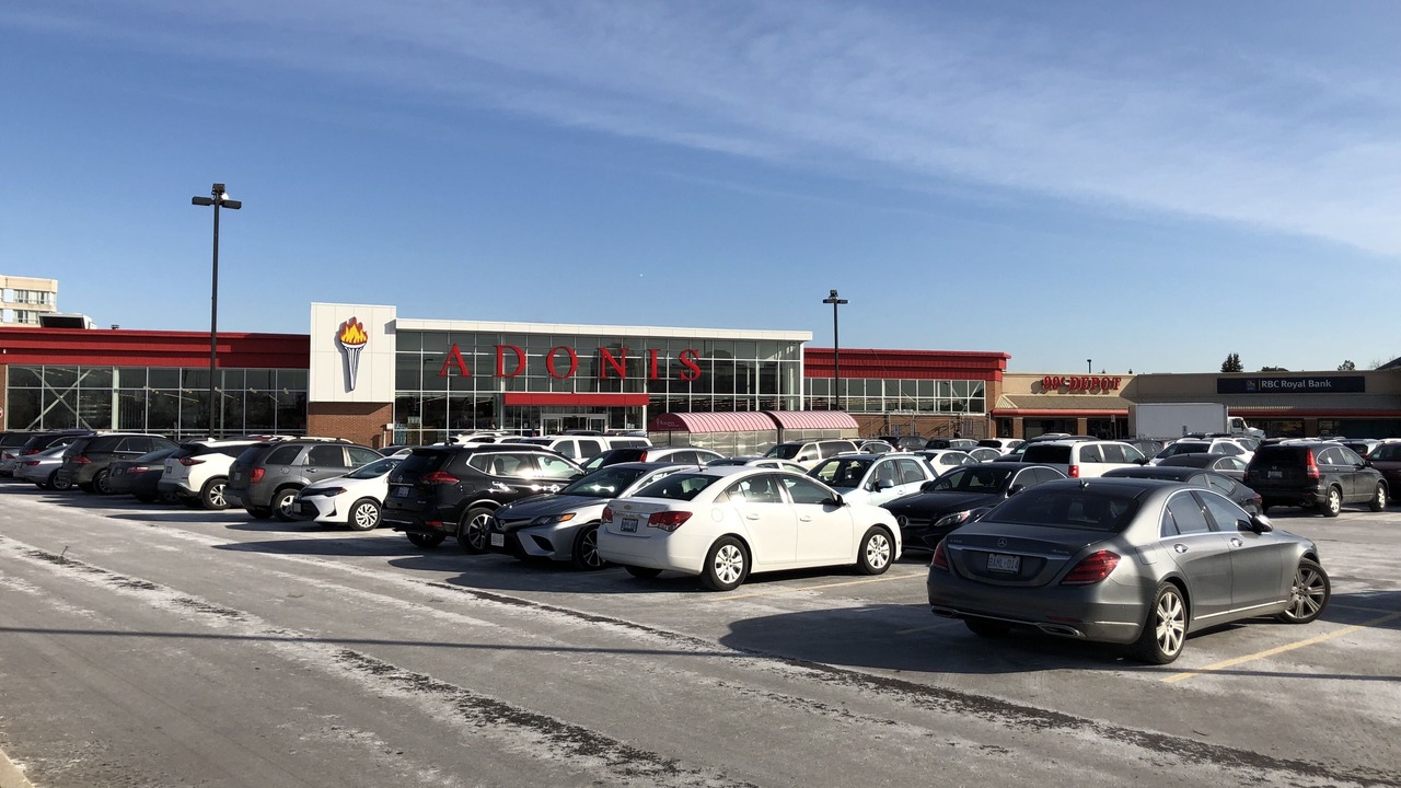 Photo of Others in East Credit