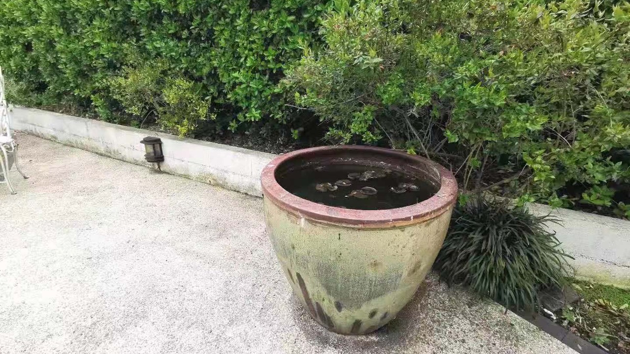 Photo of Outdoor in Sevres