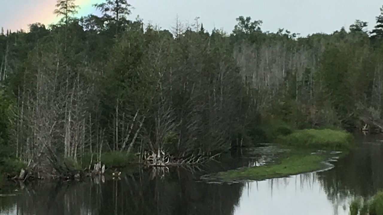 Photo of Others in Grey Highlands
