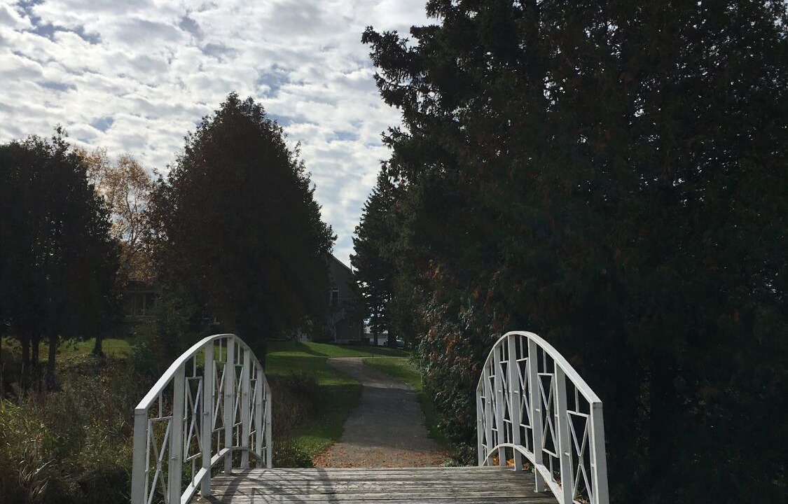 Photo of Others in Grey Highlands