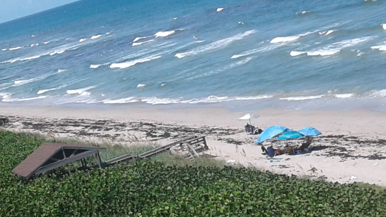 Photo of Others in Hutchinson Island South