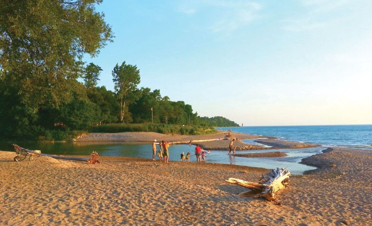 Photo of Others in Port Albert