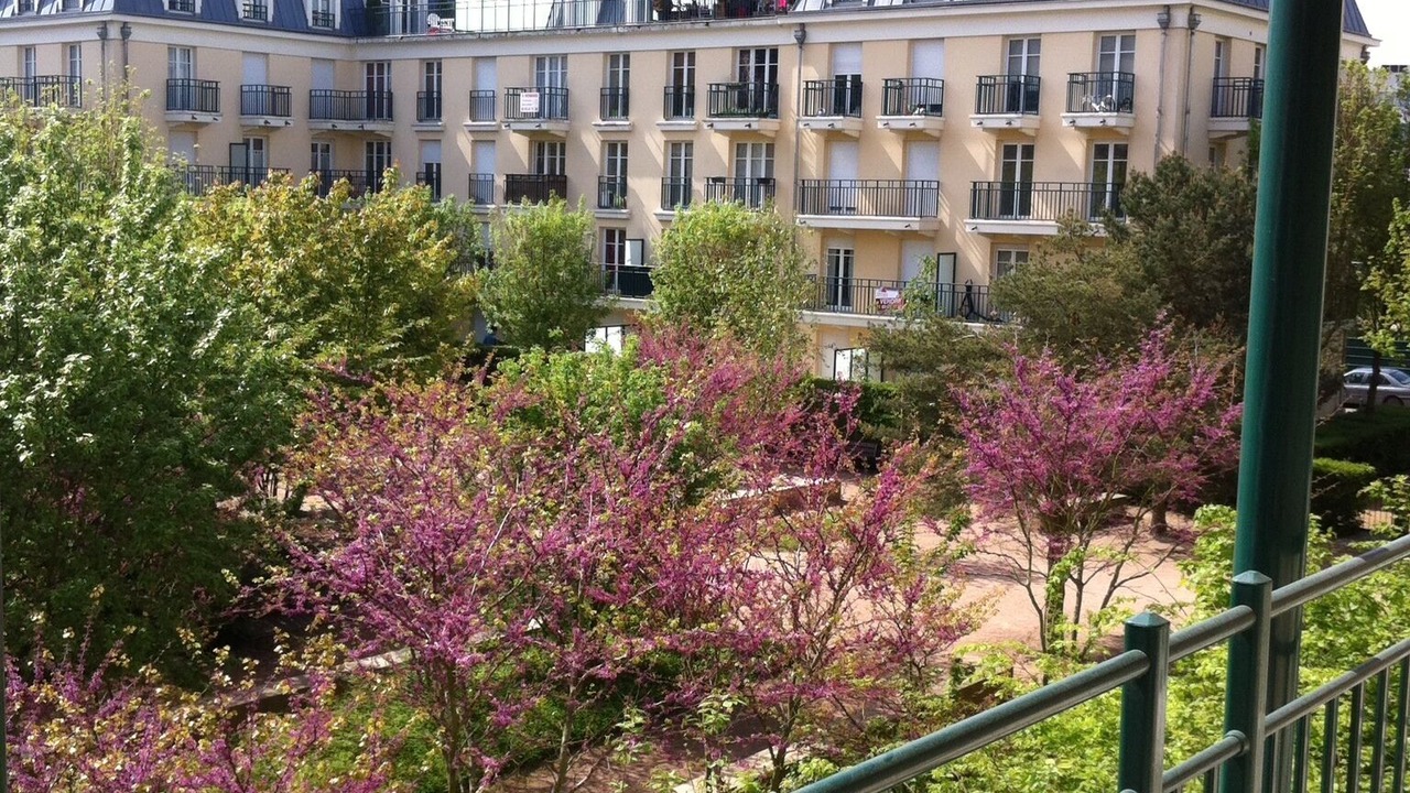 Photo of Outdoor in Chessy