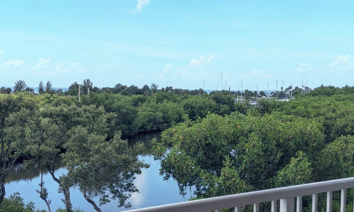 Photo of Outdoor in Ruskin