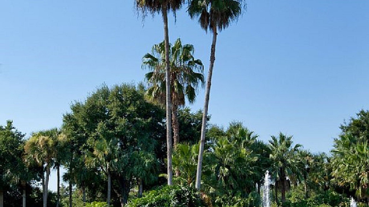Photo of Others in Florida Central Atlantic Coast