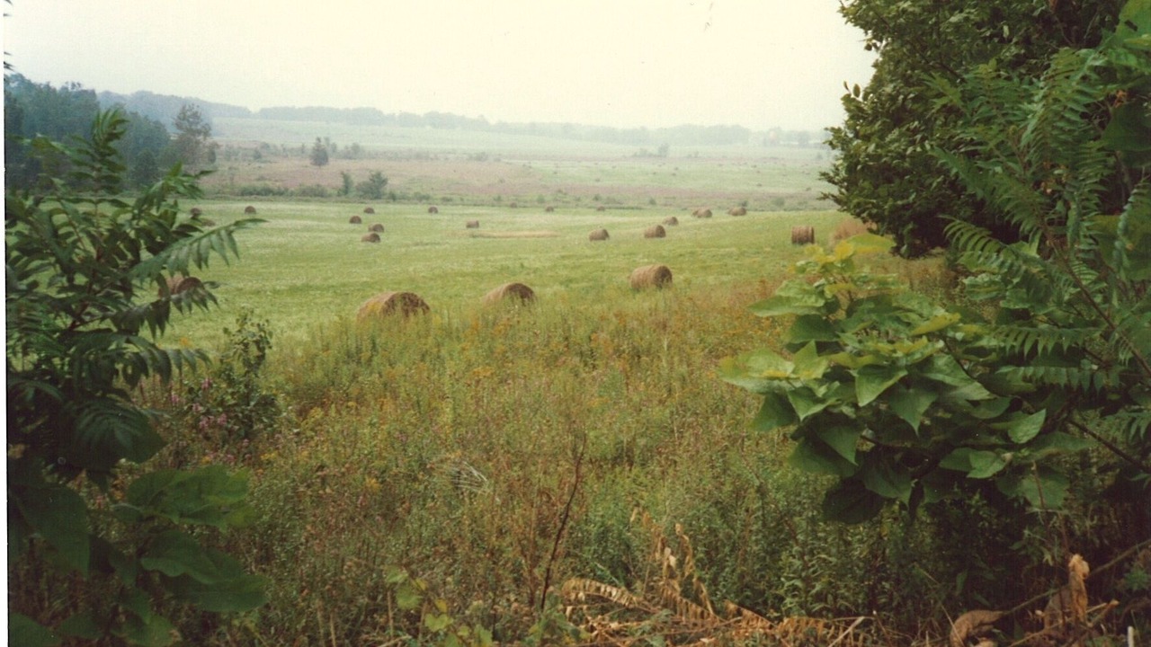 Photo of Others in Kerhonkson