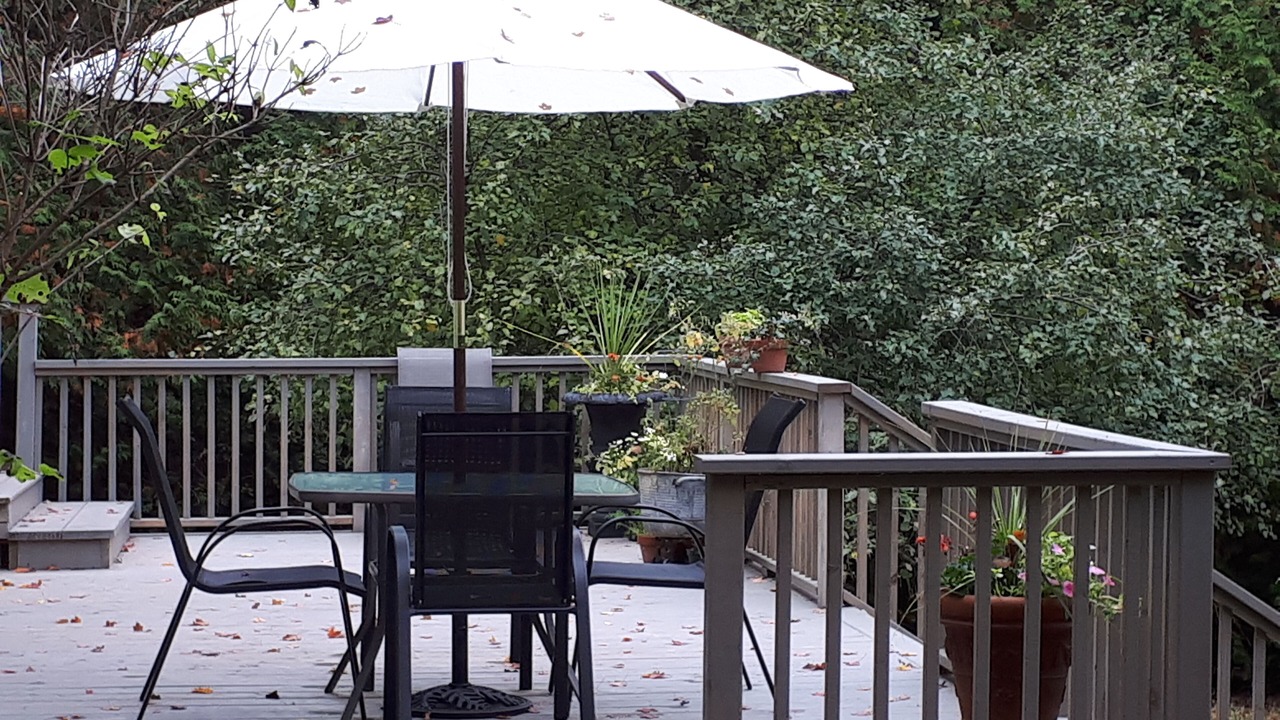 Photo of Outdoor in Feversham