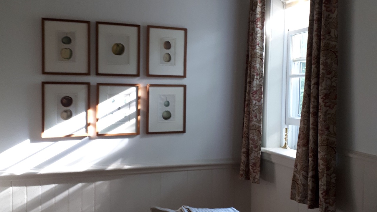 Photo of Bedroom in Feversham