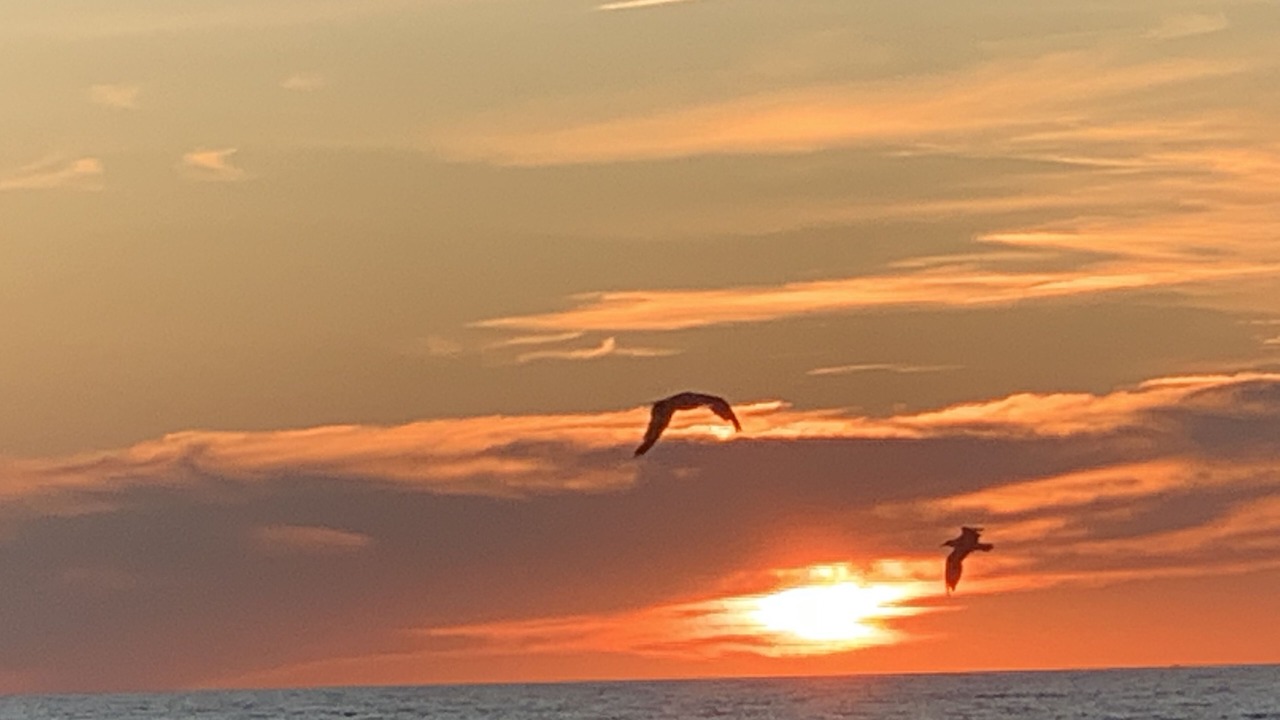 Photo of Others in Sauble Beach