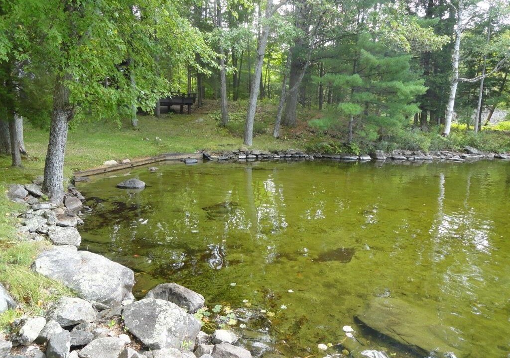 Photo of Outdoor in Muskoka Lakes