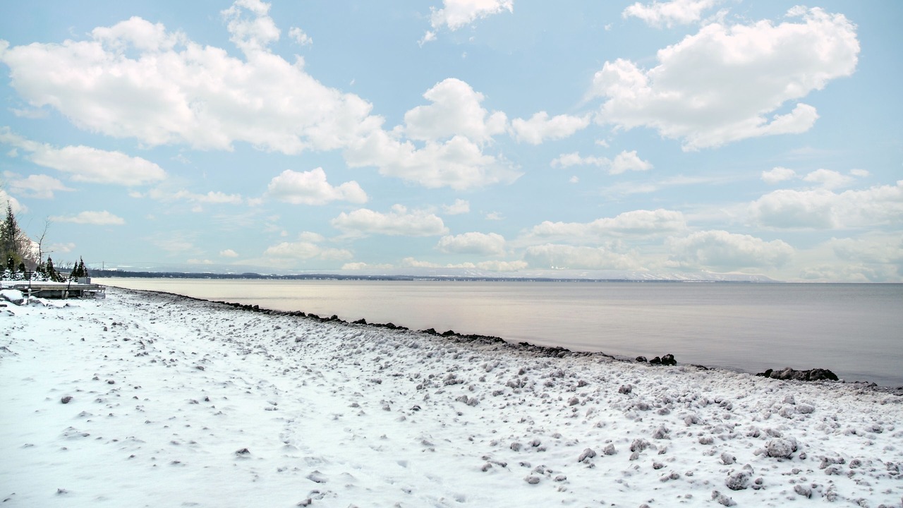 Photo of Others in Wasaga Beach
