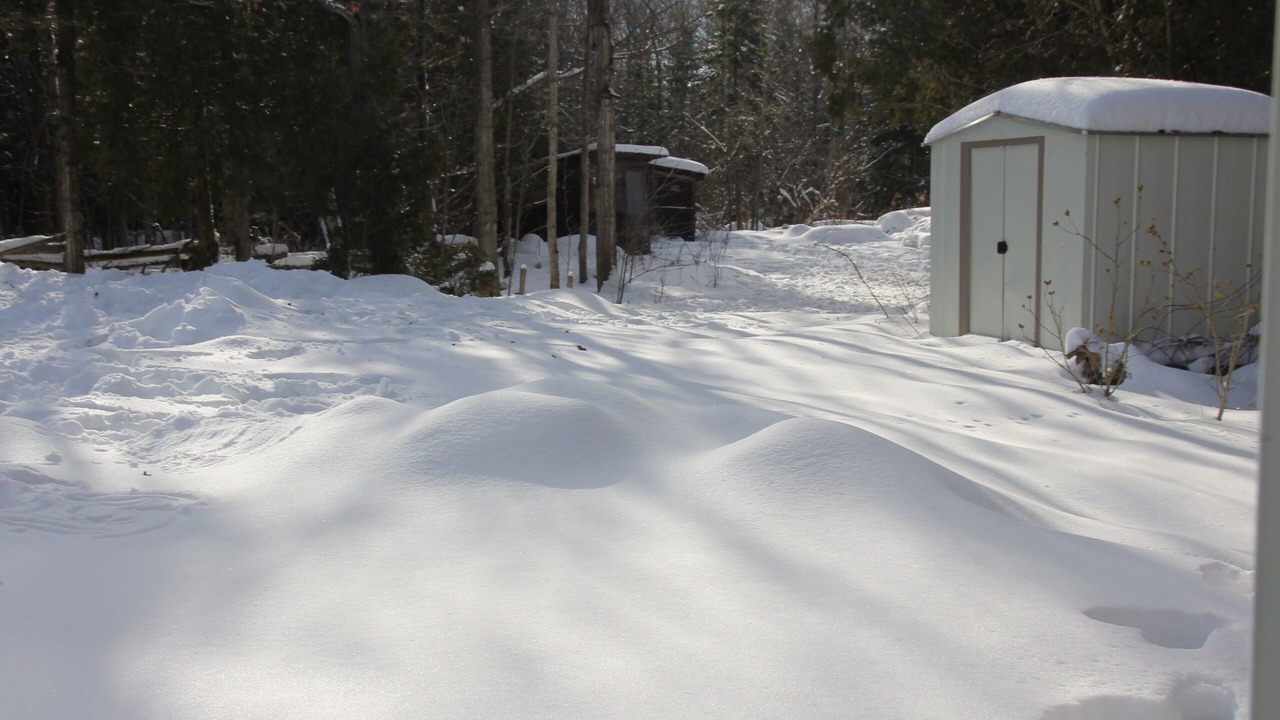 Photo of Outdoor in South Bruce Peninsula