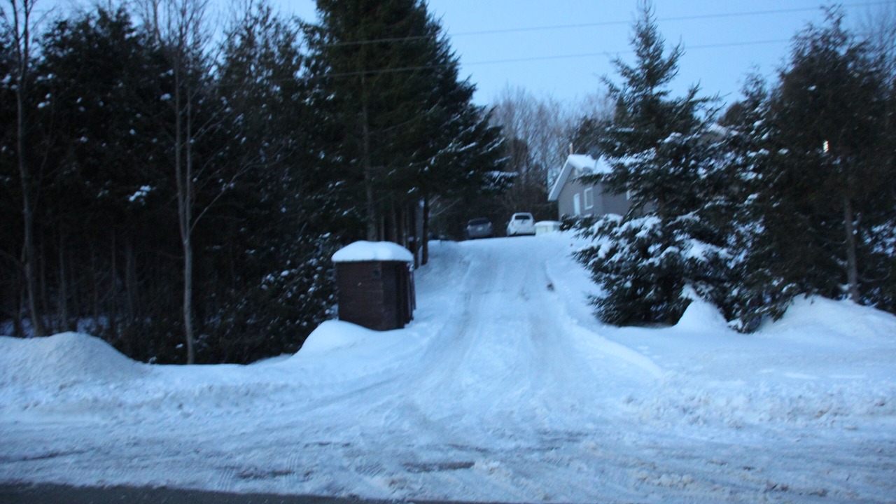 Photo of Outdoor in South Bruce Peninsula
