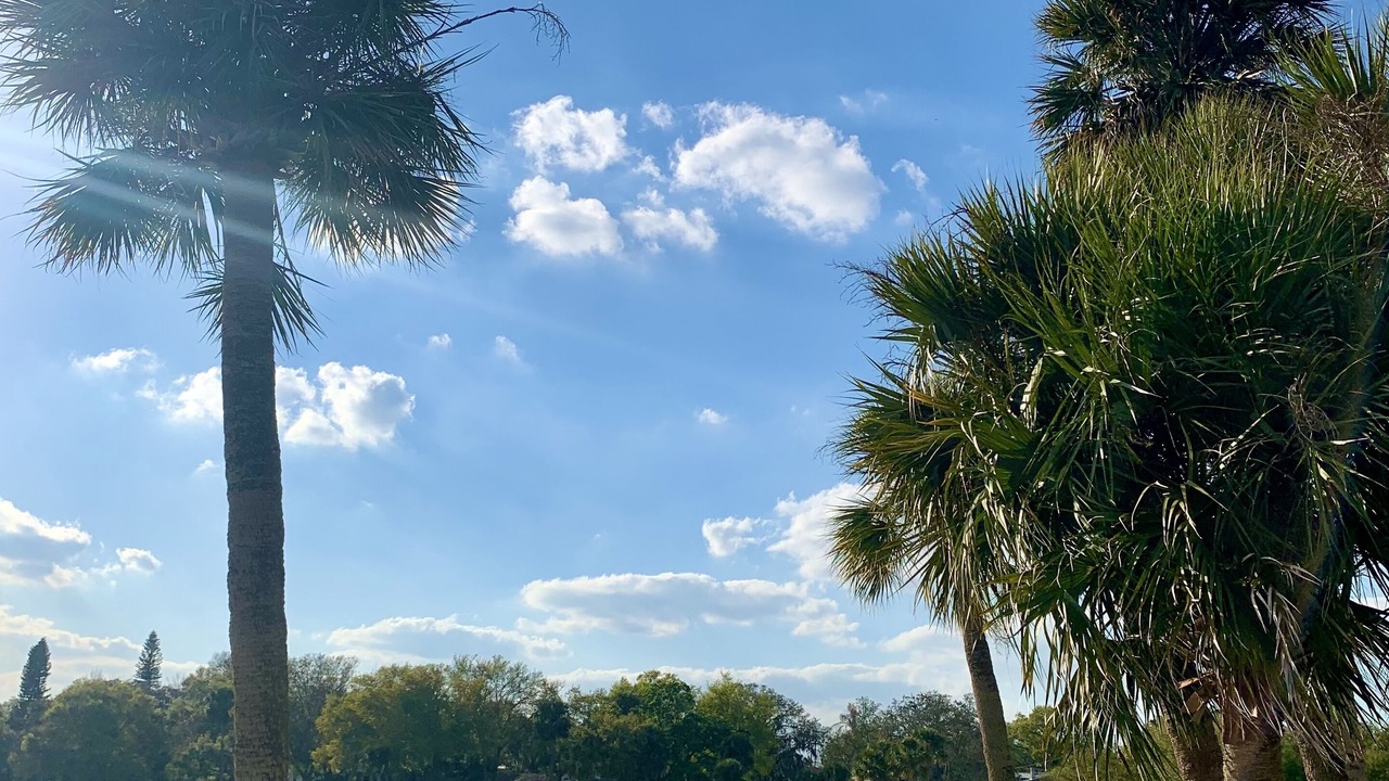 Photo of Outdoor in Haines City