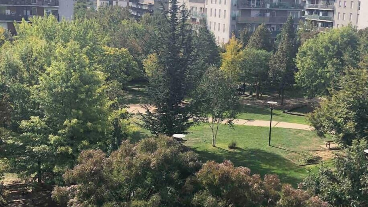 Photo of Others in Saint-Denis