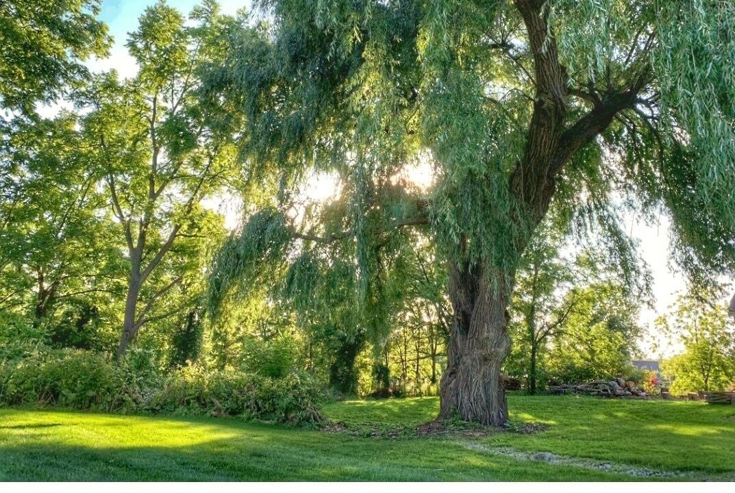 Photo of Outdoor in Brampton