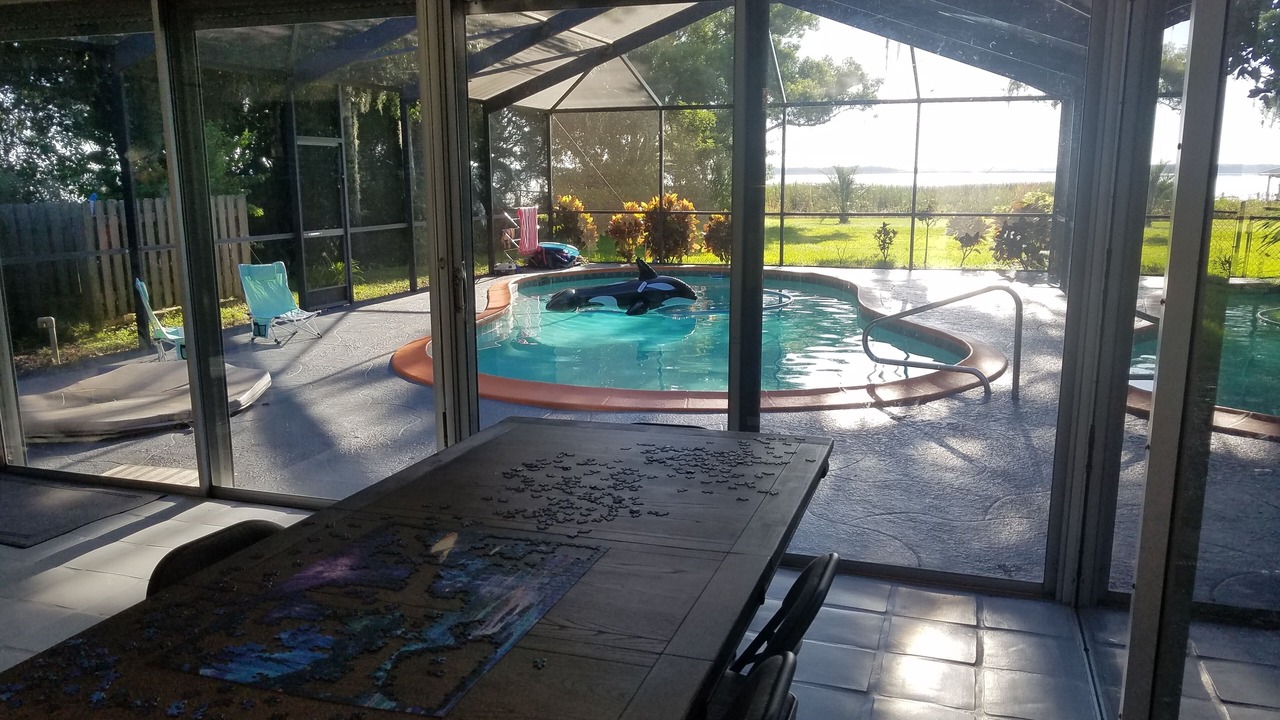 Photo of Outdoor in Winter Haven