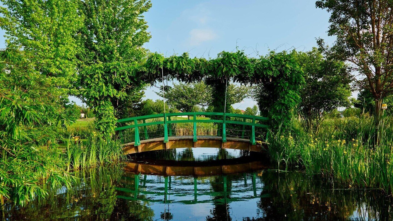 Photo of Outdoor in Bailly-Romainvilliers