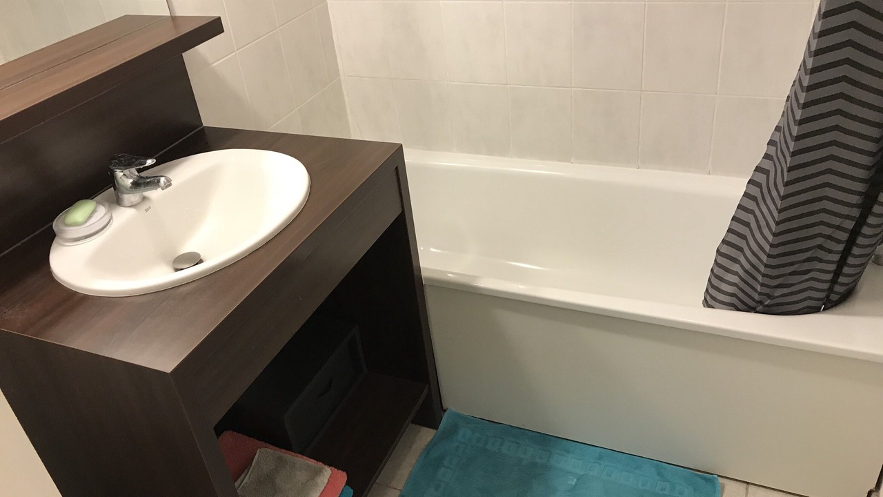 Photo of Bathroom in Montevrain