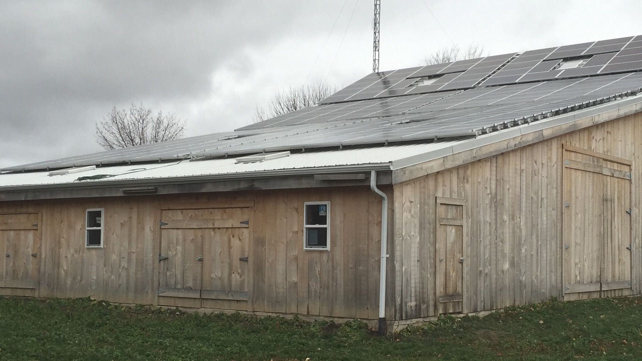 Photo of Outdoor in Bradford West Gwillimbury
