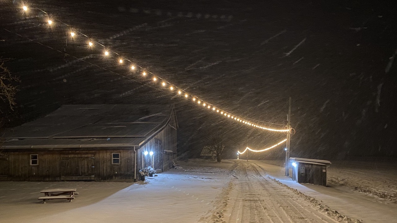 Photo of Outdoor in Bradford West Gwillimbury