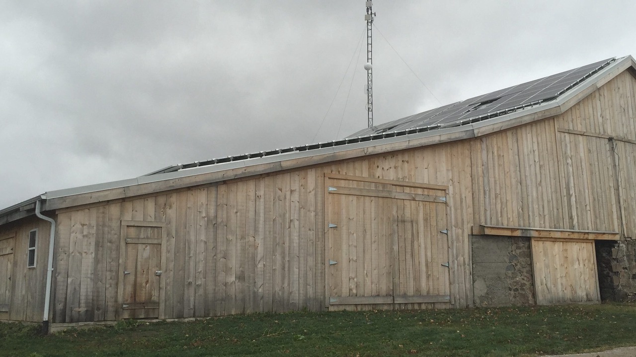 Photo of Outdoor in Bradford West Gwillimbury