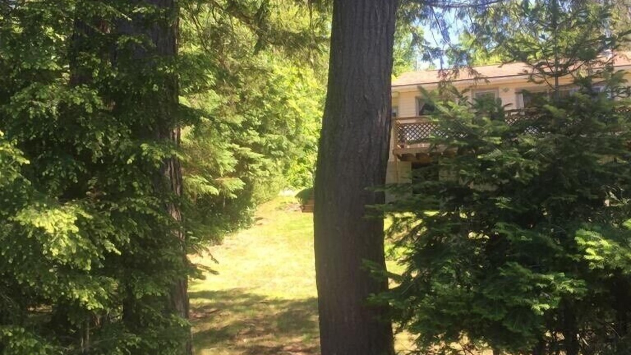 Photo of Outdoor in McKellar