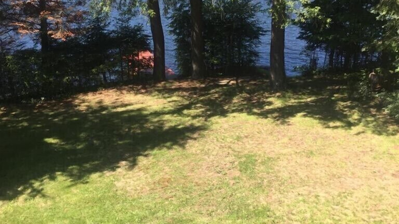 Photo of Outdoor in McKellar
