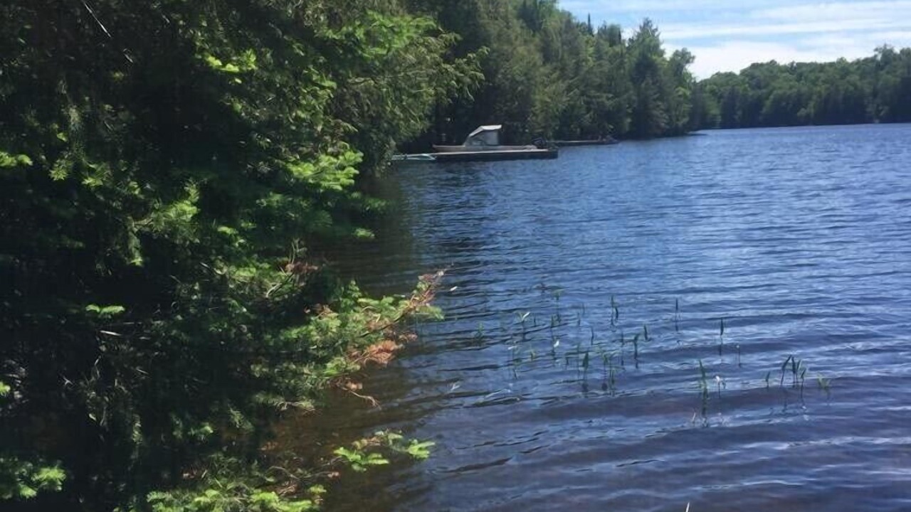 Photo of Others in McKellar