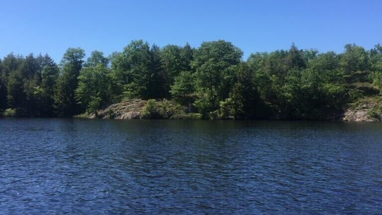 Photo of Outdoor in McKellar