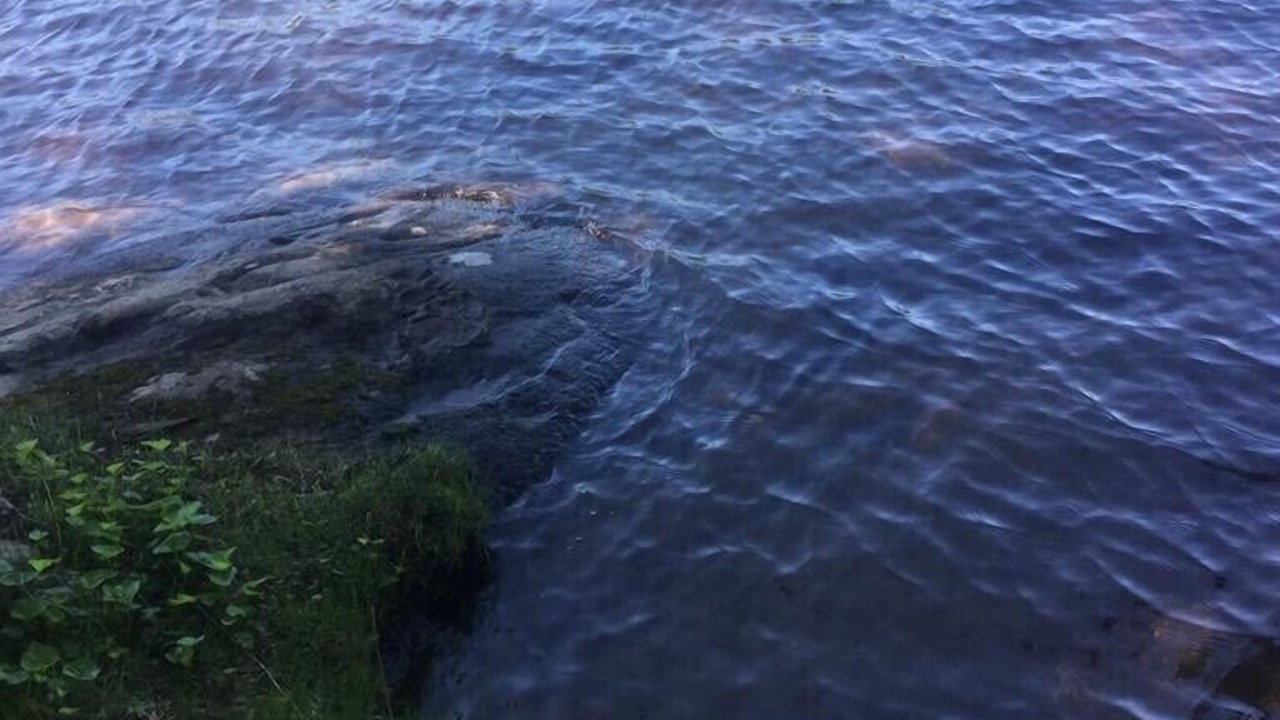 Photo of Outdoor in McKellar