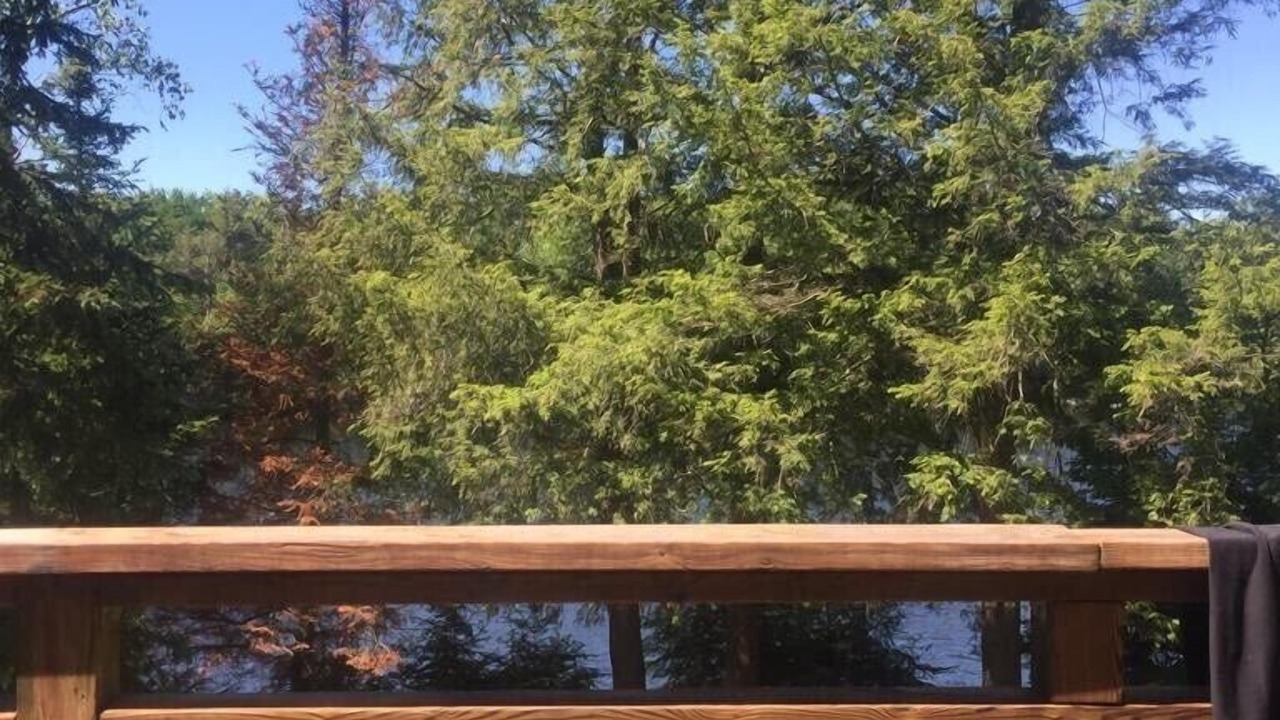 Photo of Others in McKellar