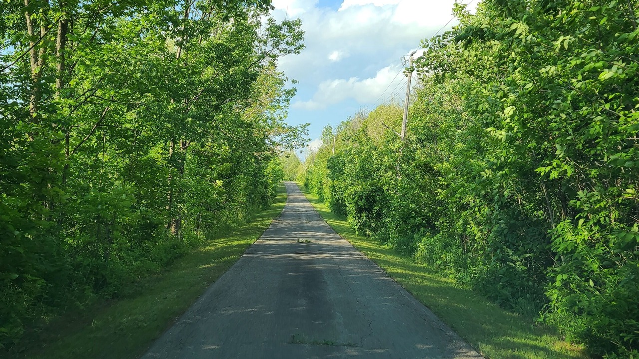 Photo of Others in Erin