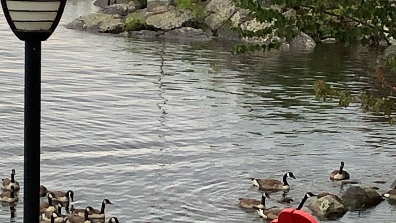 Photo of Outdoor in The Archipelago