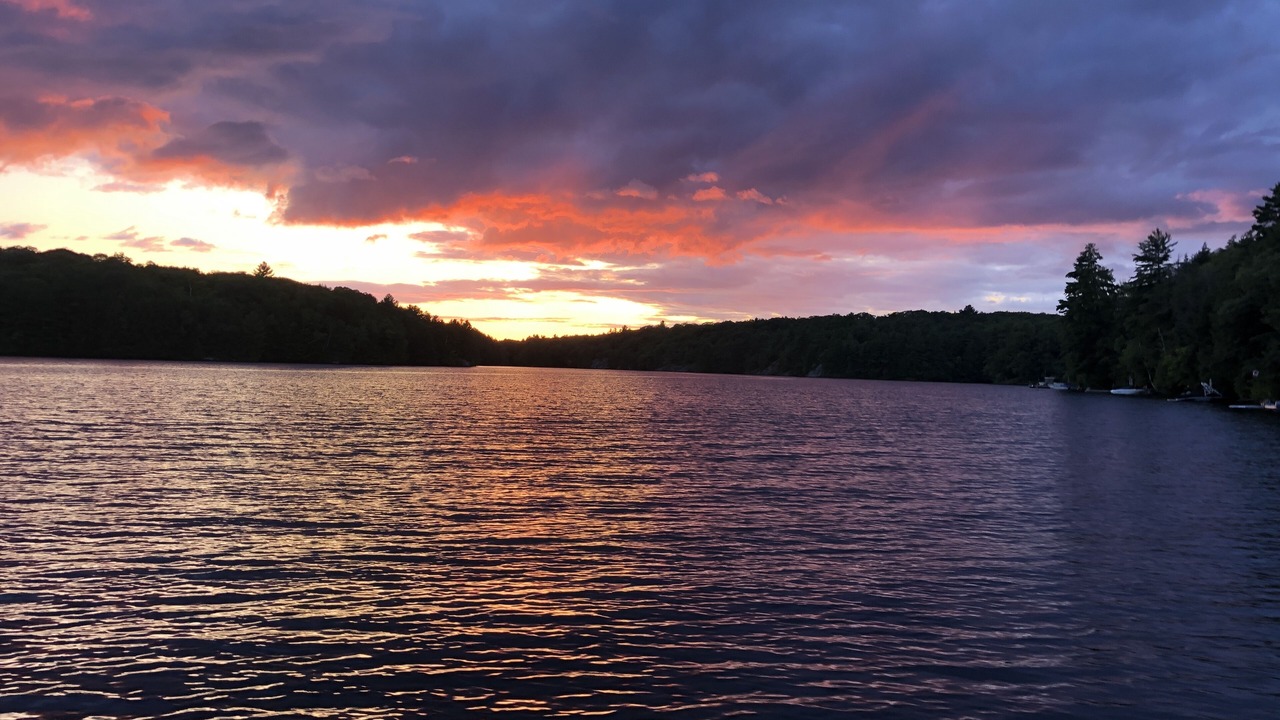 Photo of Others in Otter Lake