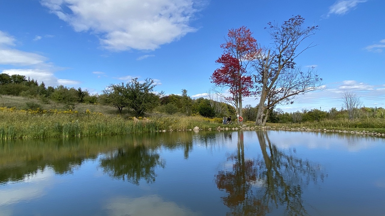 Photo of Outdoor in Scugog