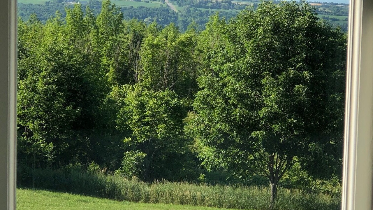 Photo of Others in Creemore